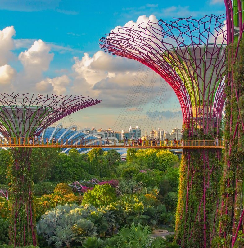 Internship in Singapore Internship in Singapore